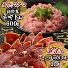 【お試しセット】 土佐流藁焼きかつおのたたき1節と高豊丸ネギトロ600g