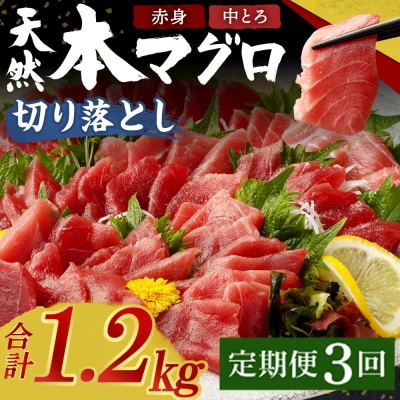 【定期便 / 3ヶ月連続】 天然本マグロ (赤身・中とろ) 切り落とし 合計1.2㎏