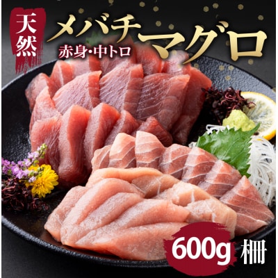 【天然まぐろ】 中トロ・赤身　柵 600gセット(100g×6pc)