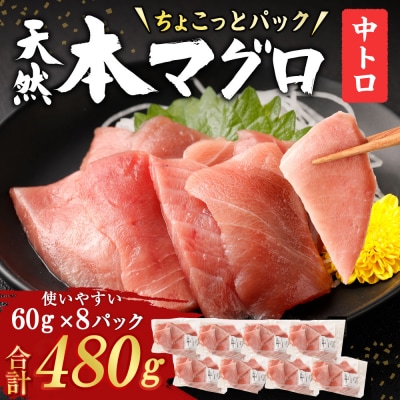 【お刺身ちょこっとパック】天然本まぐろ 中トロ切落し 480g (60g×8パック)