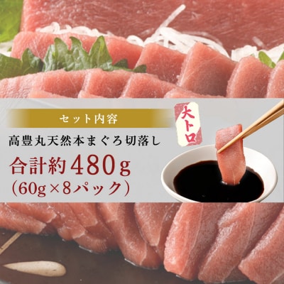 【お刺身ちょこっとパック】天然本まぐろ 大トロ切落し 480g (60g×8パック)