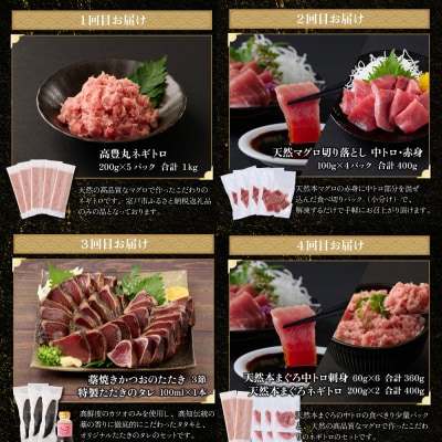 【贅沢定期便「宮」/全4回】タカシン水産厳選 高知の海鮮セット