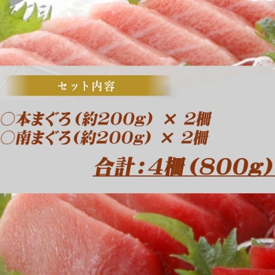 厳選天然本まぐろ中トロ2柵と厳選天然南まぐろ 各2柵 食べ比べ 【合計800g】