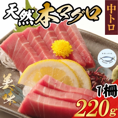 厳選 天然本まぐろ中トロ1柵 たっぷり 堪能 【年末発送】