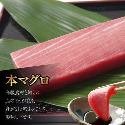 厳選 天然本まぐろ中トロ1柵 たっぷり 堪能 【年末発送】