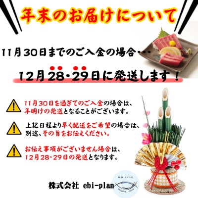 厳選 天然本まぐろ中トロ1柵 たっぷり 堪能 【年末発送】