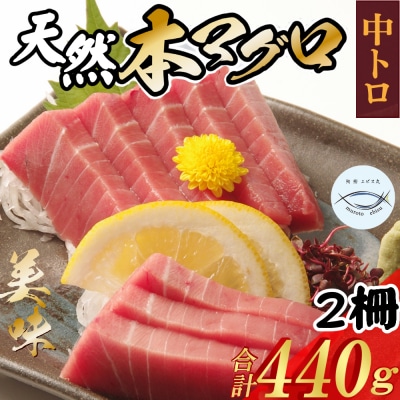 厳選 天然本まぐろ中トロ2柵 たっぷり 堪能 【年末発送】