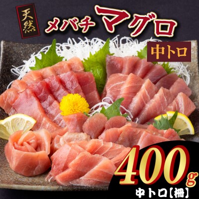 天然メバチマグロ 【 中トロ 】400g(柵)