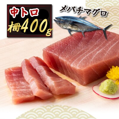 天然メバチマグロ 【 中トロ 】400g(柵)