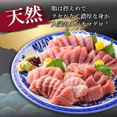 天然メバチマグロ 【 中トロ 】400g(柵)