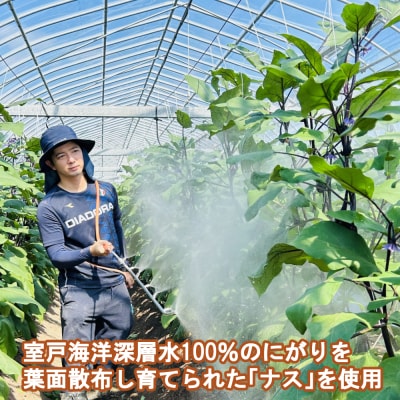《 定期便/全3回 》 揚げナス 合計7.2kg【輪切り・乱切り】