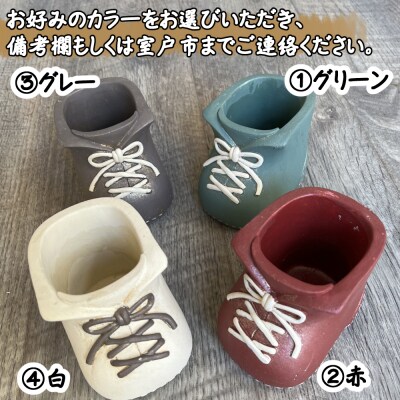 ブーツ鉢に植える! 多肉植物の寄せ植えセット (片足) 多肉植物5本～10本入り