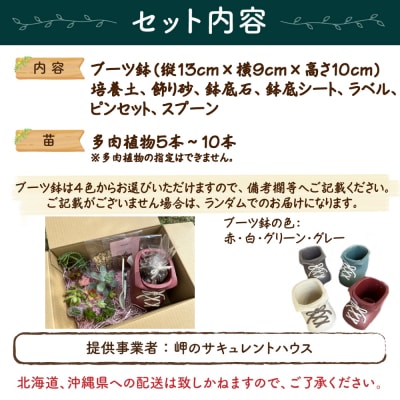 ブーツ鉢に植える! 多肉植物の寄せ植えセット (片足) 多肉植物5本～10本入り