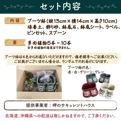 ブーツ鉢に植える! 多肉植物の寄せ植えセット (両足) 多肉植物5本～10本入り