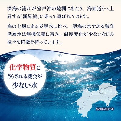 深海のバスセット　A