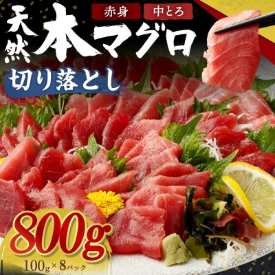 【遠洋漁船高豊丸漁獲】天然本マグロ(赤身・中とろ)切落し800g 訳あり 魚介類加工品 20000円