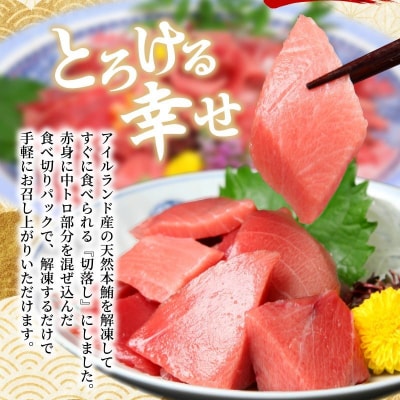 【遠洋漁船高豊丸漁獲】天然本マグロ(赤身・中とろ)切落し800g 訳あり 魚介類加工品