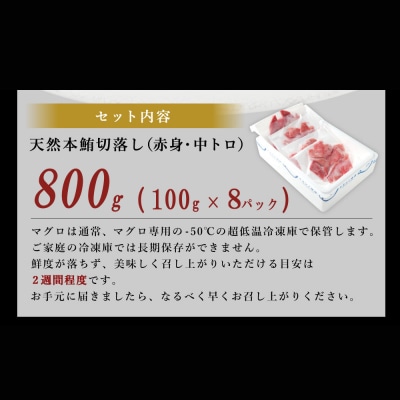 【遠洋漁船高豊丸漁獲】天然本マグロ(赤身・中とろ)切落し800g 訳あり 魚介類加工品 20000円