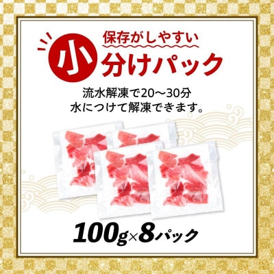 【遠洋漁船高豊丸漁獲】天然本マグロ(赤身・中とろ)切落し800g 訳あり 魚介類加工品