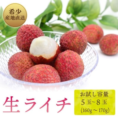 【先行受付】国産 ライチ お試しパック 令和8年6月上旬頃より発送 生ライチ 果物 高知県産フルーツ