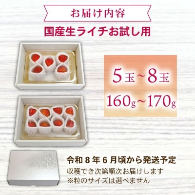 【先行受付】国産 ライチ お試しパック 令和8年6月上旬頃より発送 生ライチ 果物 高知県産フルーツ