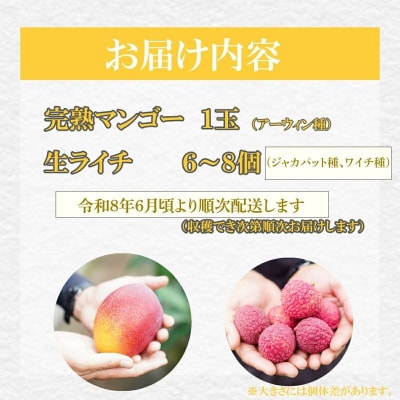 【令和8年6月上旬ごろより発送】完熟マンゴーと生ライチのセット マンゴー 1玉 生ライチ 6～8玉入