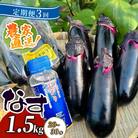 【定期便3回発送】農家直送　土佐の美味茄子の新鮮ナス　1.5kg　(室戸海洋深層水にがり使用)