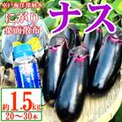 農家直送　土佐の美味茄子の新鮮ナス　1.5kg　(室戸海洋深層水にがり使用)