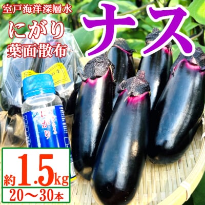 農家直送　土佐の美味茄子の新鮮ナス　1.5kg　(室戸海洋深層水にがり使用)