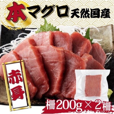 【漁師直送】天然本マグロ 赤身 400g 国産 柵