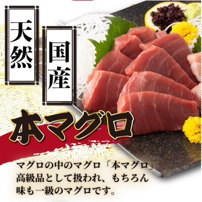【漁師直送】天然本マグロ 赤身 400g 国産 柵