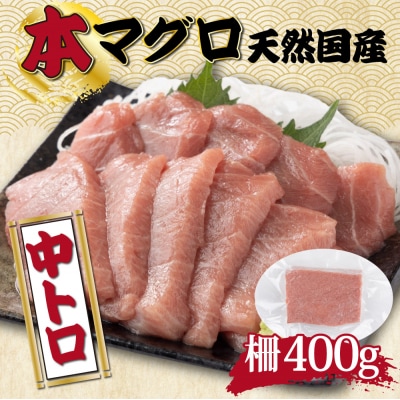 【漁師直送】天然本マグロ 中トロ 400g 国産 柵 19000