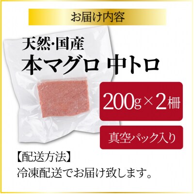 【漁師直送】天然本マグロ 中トロ 400g 国産 柵 19000