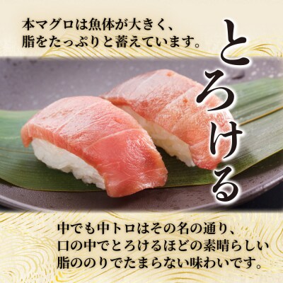 【漁師直送】天然本マグロ 中トロ 400g 国産 柵 19000