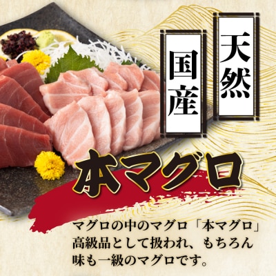 【漁師直送】天然本マグロ 大トロ 200g 国産 柵 13500