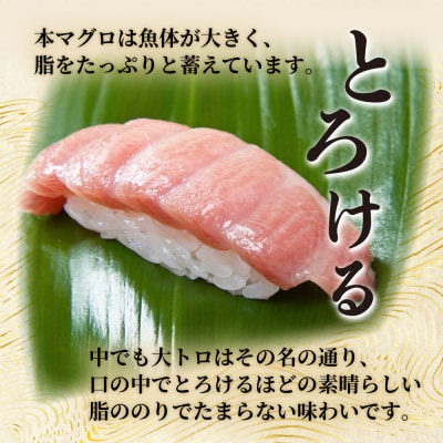 【漁師直送】天然本マグロ 大トロ 200g 国産 柵 13500