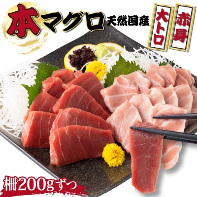 【漁師直送】天然本マグロ 赤身 大トロ 400g 国産 柵 21500