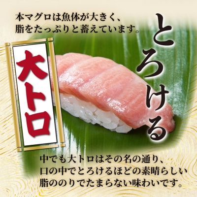 【漁師直送】天然本マグロ 赤身 大トロ 400g 国産 柵 21500