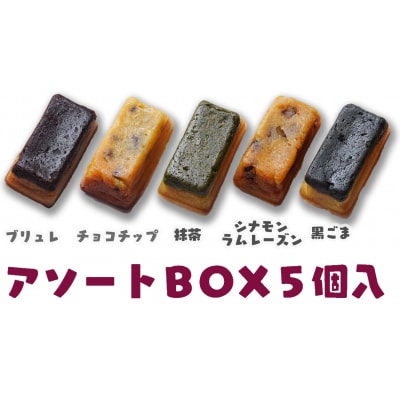 スイートポテト　キントキとバター(プレーン&アソートBOX)