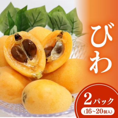 【先行予約・数量限定】黒耳びわ 16～20玉(小粒・中粒) 季節の旬のフルーツ 高知県室戸市