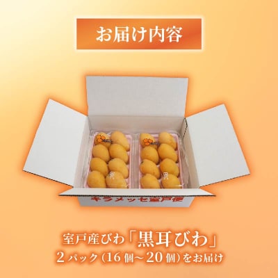 【先行予約・数量限定】黒耳びわ 16～20玉(小粒・中粒) 季節の旬のフルーツ 高知県室戸市