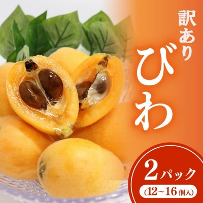 【先行予約・数量限定】黒耳びわ 大粒 12～16玉 季節の旬のフルーツ 高知県室戸市