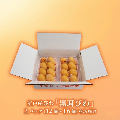【先行予約・数量限定】黒耳びわ 大粒 12～16玉 季節の旬のフルーツ 高知県室戸市