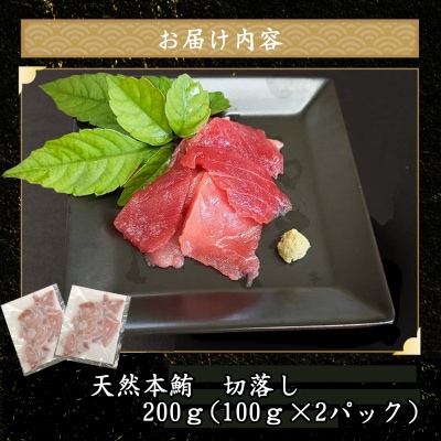 天然本マグロ タタキ身(ネギトロ)と 切り落とし セット 【合計400g】