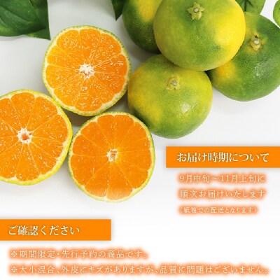【先行予約】訳あり 極早生みかん 5kg |  温州みかん 秋の味覚 家庭用 柑橘 蜜柑
