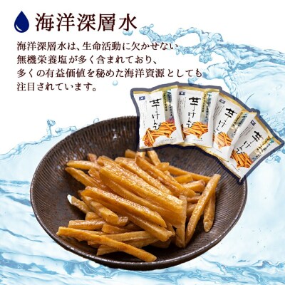 芋けんぴ 12回定期便 人気の品 (110g×12袋) 12袋小分けセット nm078
