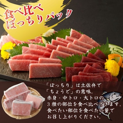 【2回定期便】マグロとかつおの定期便