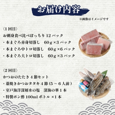 【2回定期便】マグロとかつおの定期便