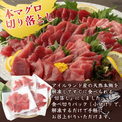 2回定期便　本マグロとかつおの定期便