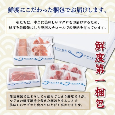 2回定期便　本マグロとかつおの定期便